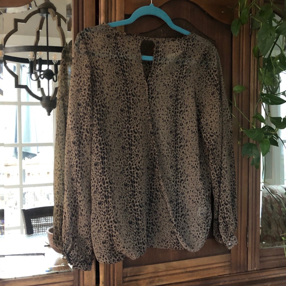 Honey Punch Leopard Sheer Blouse